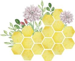 Watercolor colorful big bees combs with flowers and leaves isolated on white background. vector