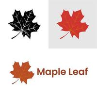 Autumn maple leaf vector on a white background