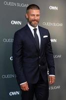 LOS ANGELES, AUG 29 - Greg Vaughan at the Premiere Of OWN s Queen Sugar at the Warner Brothers Studios on August 29, 2016 in Burbank, CA photo