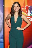 LOS ANGELES, AUG 2 - DArcy Carden at the NBCUniversal TCA Summer 2016 Press Tour at the Beverly Hilton Hotel on August 2, 2016 in Beverly Hills, CA photo