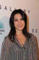 LOS ANGELES, OCT 23 - Michelle Branch at the De Re Gallery and Casamigos Host The Opening Brian Bowen Smith s Wildlife Show at De Re Gallery on October 23, 2014 in West Hollywood, CA photo