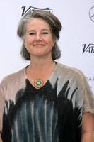 PALM SPRINGS, JAN 3 - Helen du Toit at the Variety Creative Impact Awards And 10 Directors To Watch Brunch at the The Parker Hotel on January 3, 2016 in Palm Springs, CA photo