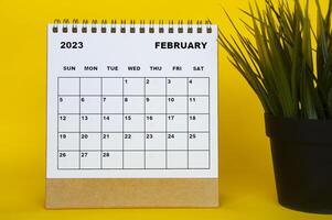 calendario de escritorio de febrero de 2023 con planta de mesa sobre fondo amarillo. foto