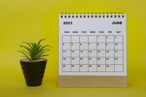 June 2023 desk calendar with table plant on yellow background. photo