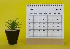 July 2023 desk calendar with table plant on yellow background. photo