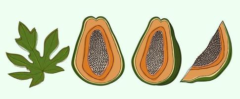 Set of funny papaya and leaves vector