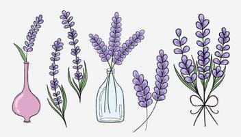 Delicate set with various elements of lavender sprigs vector