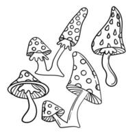 Doodle sticker set simple mushrooms poisonous toadstools vector