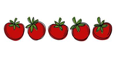 Set of cute cartoon doodle tomatoes. Bright outline and rich colors. vector