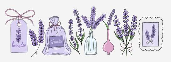 Delicate lavender set of different elements vector