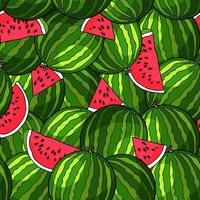 Bright patterns with sweet watermelons vector