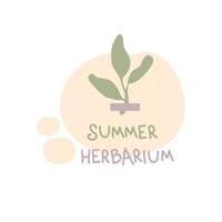 Doodle print with small plant and text SUMMER HERBARIUM. vector