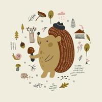 Cute hedgehog with autumn elements. Vector illustrations