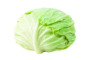 cabbage  on isolated background . Clipping path photo