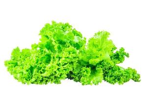 lettuce  on isolated background Clipping path photo