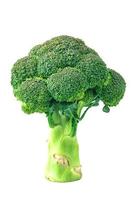 broccoli  on isolated background Clipping path photo