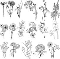 Set of Flowers on Stems vector