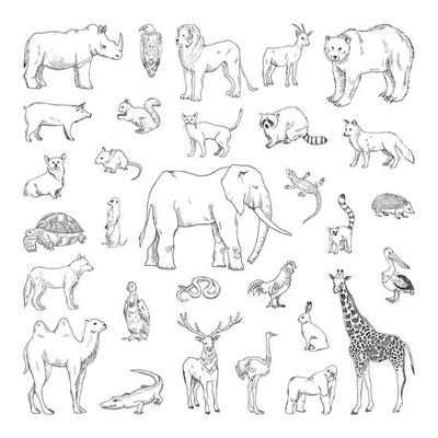 Animal Illustrations in Art Ink Style 9534515 Vector Art at Vecteezy