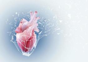 Illustration of a human heart in a realistic form with the image of a detached outer protective poly block. vector
