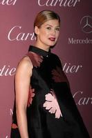 LOS ANGELES, JAN 3 - Rosamund Pike at the Palm Springs Film Festival Gala at a Convention Center on January 3, 2014 in Palm Springs, CA photo