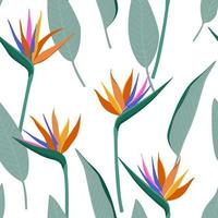 Seamless pattern with bird of paradise flowers and leaves. Exotic tropic plants design for fabric, home textile, wrapping paper vector