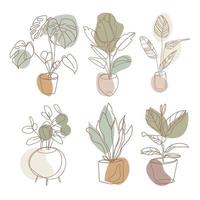 Set of trendy potted plants for home drawing in Minimalist Art style.Different indoor houseplants vector illustration isolated on white background.Collection of houseplants in neutral colors