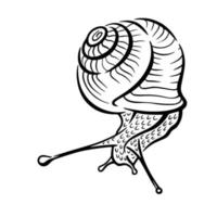 Vector simple black and white illustration of a snail