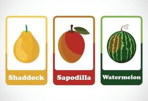 Tarjetas de frutas para niños. tarjetas educativas para preescolar. ilustración vectorial imprimible vector