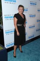 LOS ANGELES, SEP 12 - Natalie Maines at the Mercy For Animals 15th Anniversary Gala at London Hotel on September 12, 2014 in West Hollywood, CA photo
