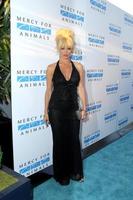 LOS ANGELES, SEP 12 - Pam Anderson at the Mercy For Animals 15th Anniversary Gala at London Hotel on September 12, 2014 in West Hollywood, CA photo