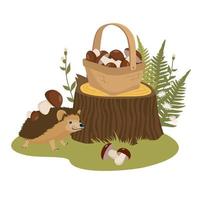 Hedgehog with mushrooms on the edge of the forest. Mushroom basket on the stump. vector