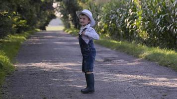 Little boy in hat playing in corn field video