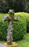 Christian Cross with Green Moss on It photo