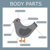 Write down the body parts of the chicken. Educational game for children. vector