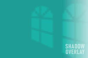 shadow overlay effect. overlay shadow from the window. Scenes of natural lighting. vector