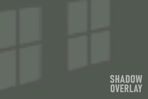 shadow overlay effect. overlay shadow from the window. Scenes of natural lighting. vector