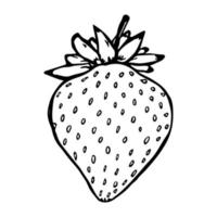 Vector strawberry clipart. Hand drawn berry icon. Fruit illustration. For print, web, design, decor