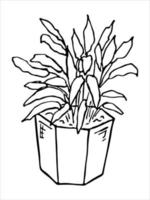 Cute hand drawn houseplant in a pot clipart. Plant illustration. Cozy home doodle vector