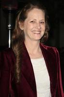 LOS ANGELES, FEB 15 - Melissa Leo at the Make-Up Artists And Hair Stylists Guild Awards 2014 at the Paramount Theater on February 15, 2014 in Los Angeles, CA photo