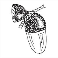 Vector hand drawn acorn illustration. Autumn botany sketch.