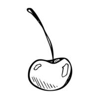 Vector cherry clipart. Hand drawn berry icon. Fruit illustration