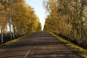 Autumn road.  country photo