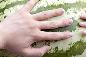 hand on watermelon photo