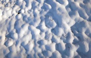campo cubierto de nieve foto