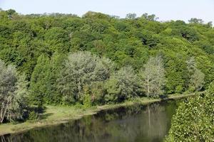 río y árboles de hoja caduca foto