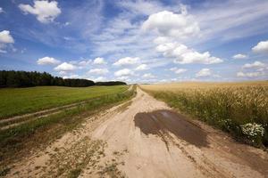 the rural road photo