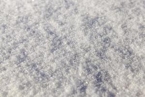 snow on the ground photo
