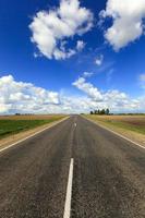 camino de verano. campo foto