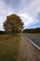 the autumn road photo