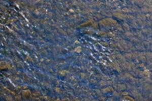 Stones in water river photo